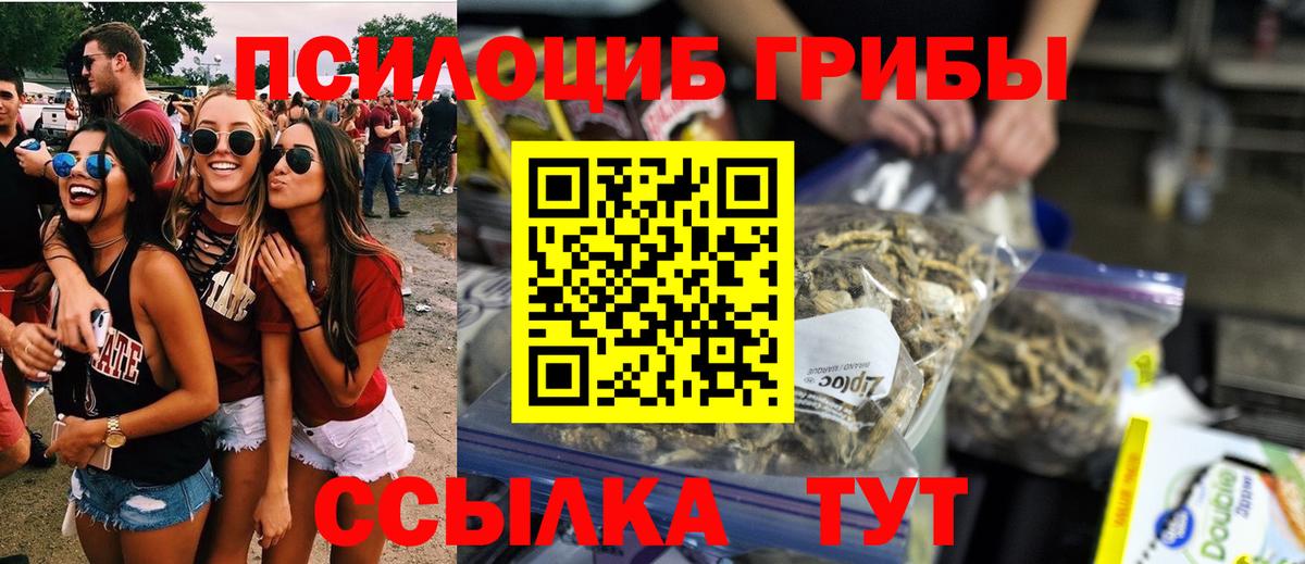 Благодарный  Псилоцибиновые грибы Cubensis  Вход с VPN 